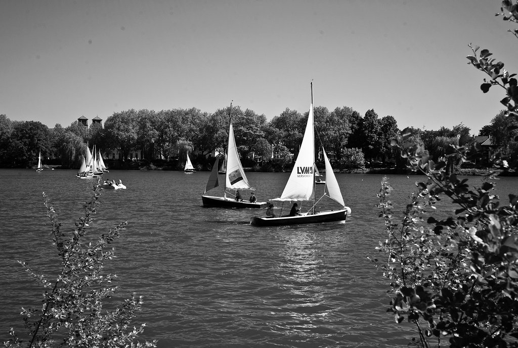 Segelbote auf dem Aasee